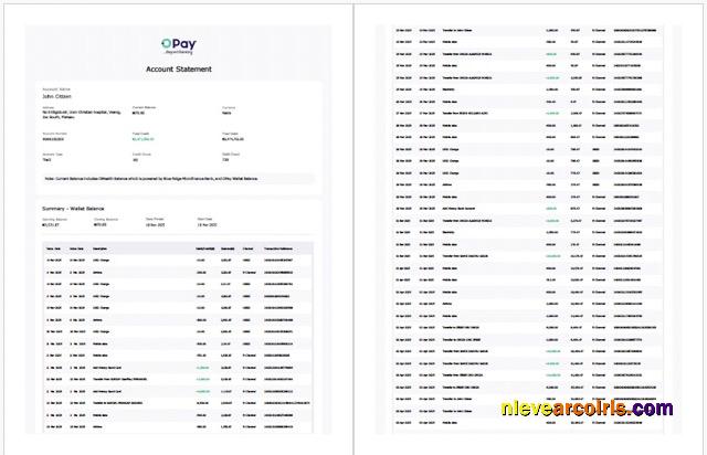 Nigeria Opay account statement Word and PDF, 2 pages